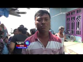 Lumba-lumba Terdampar Penuh Luka di Pantai Nambangan Surabaya - NET12