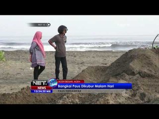 Bangkai Ikan Paus di Aceh Sudah Dikuburkan - NEt12