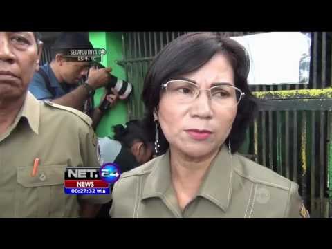 Dua Bayi Harimau Benggala Lahir di Medan - NET24