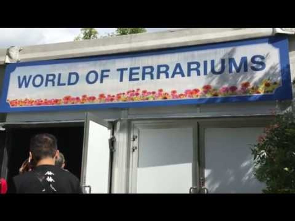 Singapore Garden Festival Manjakan Para Pecinta Tanaman - NET12