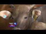 Pembeli Serbu Daging Sapi Murah - NET12