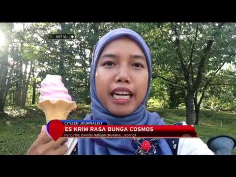 Festival Bunga Musim Gugur - NET 10