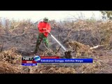 Hutan Dikawasan Danau Toba Habis Dilahap si Jago Merah - NET5