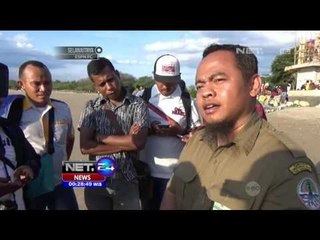 Warga Terus Berburu Buaya Muara di Pantai Wisata - NET24