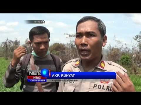 Pemadaman Kebakaran Hutan Riau - NET12