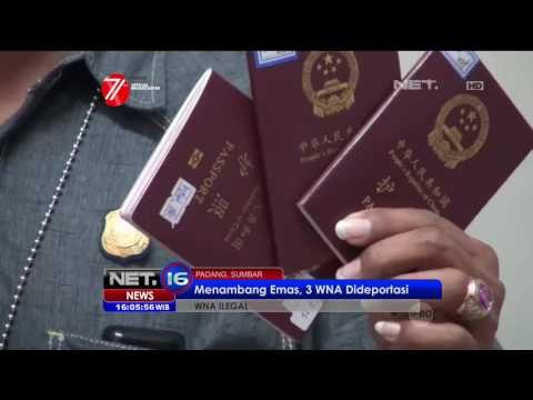 3 WNA Penambang Emas di Padang di Deportasi - NET16