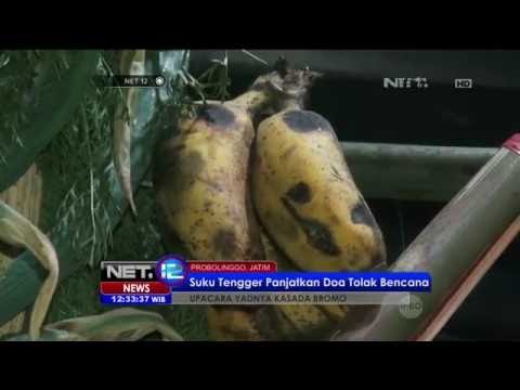 Terobos Zona Bahaya Bromo untuk Sempurnakan Ritual -NET12 21 Juli