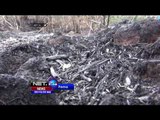 Ratusan Hektar Lahan di Samosir Rusak Karena Karhutla - NET24