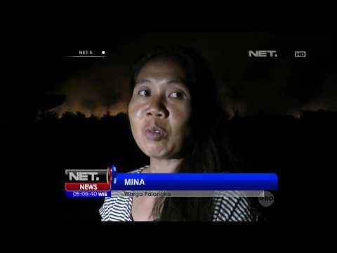 Kebakaran Lahan di Palangkaraya Semakin Meluas - NET5