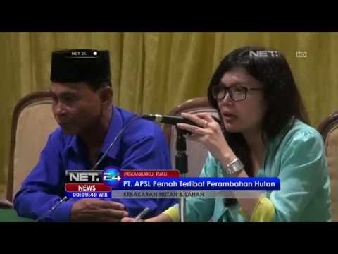 Penyelidikan Kebakaran Hutan di Riau Masih Berlangsung - NET24