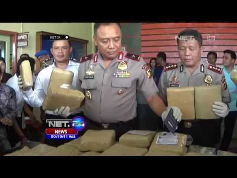 Petugas Sita Ganja Seberat 54 Kg di Jambi - NET 24