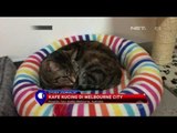 Bersantai Ditemani Belasan Kucing di Kafe Kucing Melbourne City - NET12