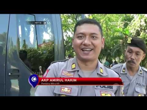 Atraksi Ketangkasan Anjing K9 - NET 10