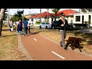 Berwisata ke Pantai Lady Robinson - NET 10