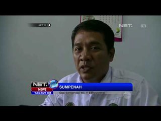 Dua Ekor Penyu Direhabilitasi di BSTF Banyuwangi - NET12