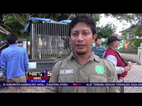 Petugas BBKSDA Evakuasi 8 Satwa - NET5