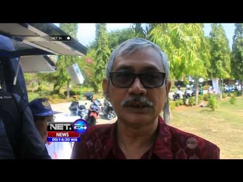 Seekor Paus Terdampar di Pantai Buleleng Bali dengan Kondisi Penuh Luka - NET24