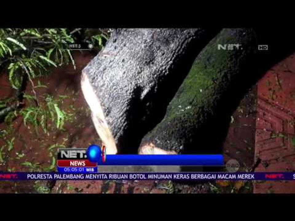 Cuaca Buruk di Yogyakarta Akibatkan Sejumlah Sarana dan Prasarana di 36 Lokasi Rusak - NET5