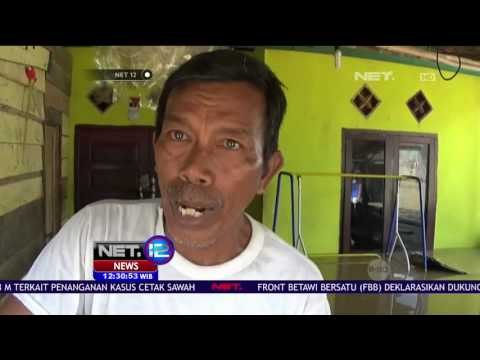 Ketinggian Air Mencapai 1,5 Meter di Jambi - NET 12