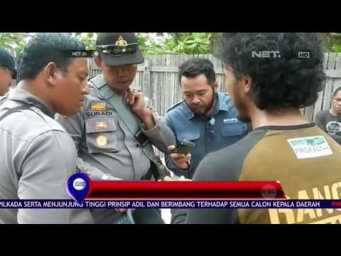 31 Ekor Tukik Dari Hasil Penyitaan Agustus Lalu Berhasil Ditetaskan - NET24
