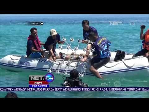 Tim Penyelam TNI AL Tanam Terumbu Karang di Perairan Pulau Tikus - NET24