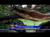 Hujan Disertai Angin Kencang, Pohon Tumbang Tipa Puluhan Mobil - NET24
