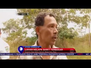 Lahan Kelapa Sawit Terbakar - NET 10