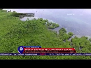 Labirin Alami, Hutan Bakau - NET 10