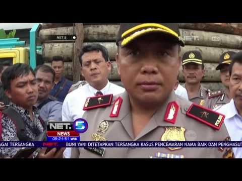 4,7 Ton Daging Trenggiling Dimusnahkan NET5