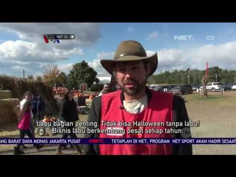 Festival Musim Gugur dengan Memetik Labu di Amerika - NET12