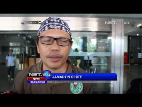 8 Tahun Jalani Rehabilitasi, 5 Orangutan Dilepasliarkan ke Habitat Aslinya - NET24