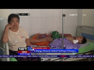 4 Warga di Situbondo Tertimpa Pohon Tumbang Akibat Puting Beliung - NET5