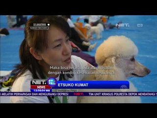 Pemilik dan Anjing Berolahraga bersama di Dog Yoga - NET 12