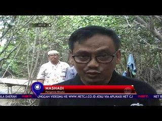 Wisata Hutan Mangrove - NET 10