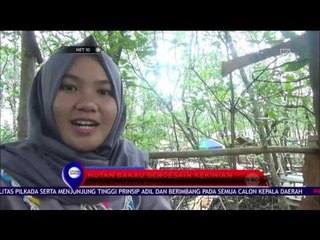Hutan Bakau Berdesain Kekinian - NET 10
