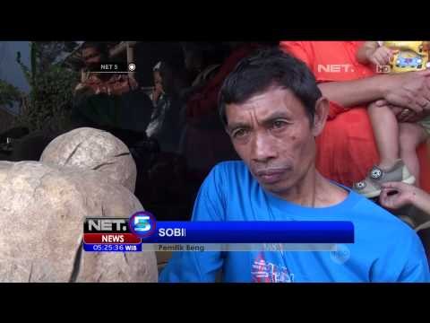 Penemuan Begkuang Raksasa di Malang - NET5