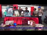 Polisi Gagalkan Penyelundupan Ratusan Ekor Satwa Dilindungi - NET24