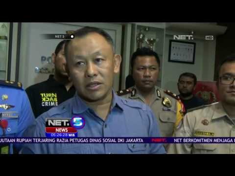 Penyelundupan Ribuan Benih Lobster Digagalkan Petugas - NET5