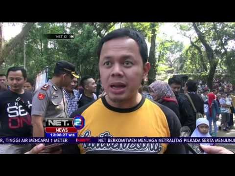Sambut Raja Arab, Pemkot Bogor Kerahkan Puluhan Ribu Pelajar - NET12