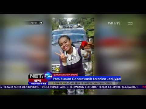 Foto Buruan Cendrawasih Feronica Jadi Viral di Sosial Media - NET24
