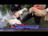 Korban Banjir di Lamongan Evakuasikan Hewan Ternak - NET24
