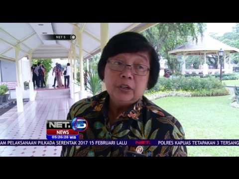 Pemerintah Kecam Aksi Pembunuhan Orangutan - NET5