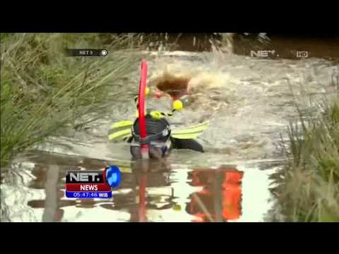 Kejuaraan Snorkeling di Lumpur Tingkat Dunia - NET5