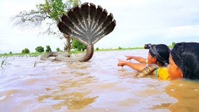 Terrifying!! Brave Asian Sisters Fearlessly Catch Big Snake in Water While Fishing