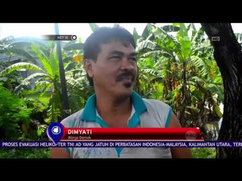 Truk Pengangkut 5 Ton Ikan Terguling - NET 10