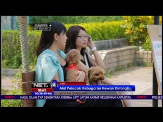 Inovasi di Cina Ciptakan Alat Kebugaran Bagi Binatang - NET24