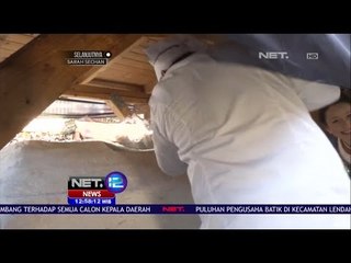 Tradisi Natal di Jerman - Potong Kue Raksasa dengan Pisau Raksasa Pula - NET 12