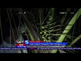 Sembunyikan Narkoba di Pohon Kelapa, Seorang Pengedar Ditangkap - NET5