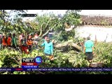 Putting Beliung Rusak Ratusan Rumah di Sidoarjo - NET12