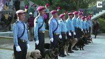 Adorable Pictures Show Dogs Being Worshipped By Nepalese Policemen